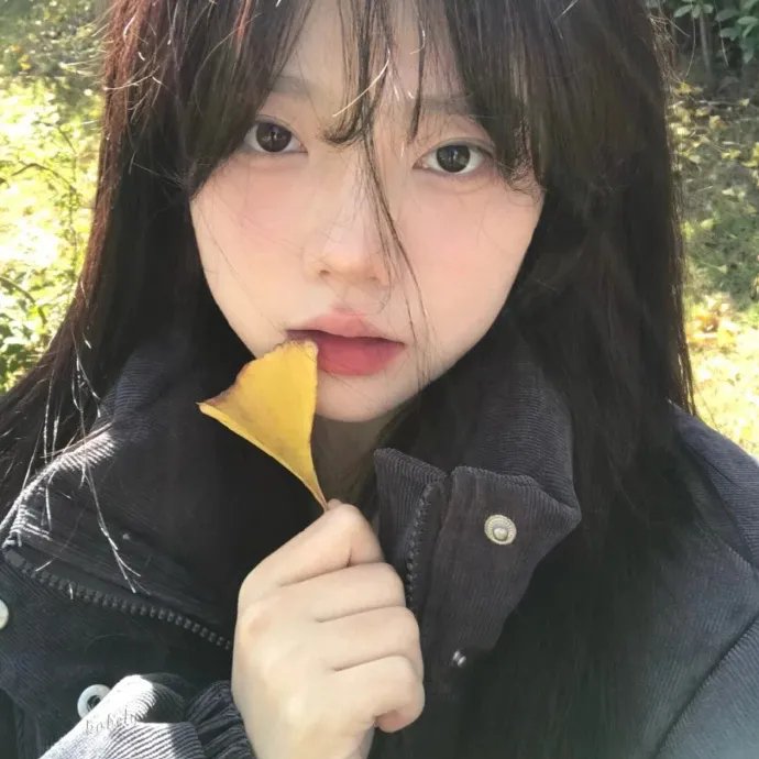 尘埃2018